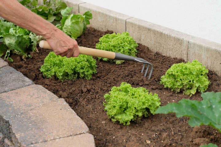 FREUND Hochbeet Grubber